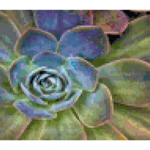 Succulent Houseplant Cross Stitch Printable Needlework Pattern - DIY Crossstitch Chart, Relaxing Hobby, Instant Download